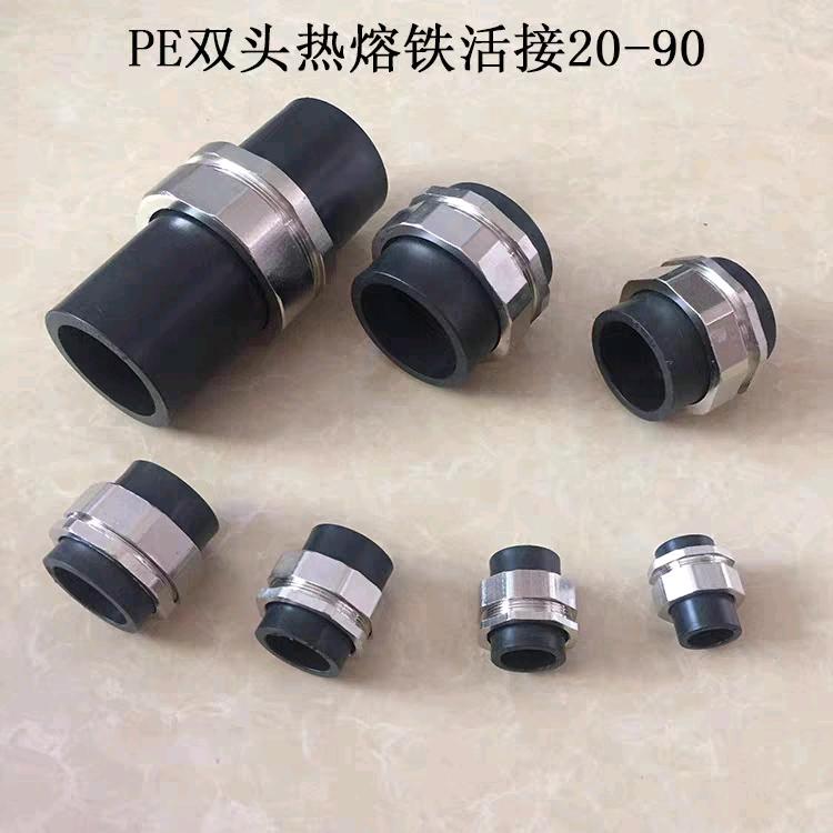 PE iron double head joint, iron double head joint 20-90 double head joint plumbing accessories