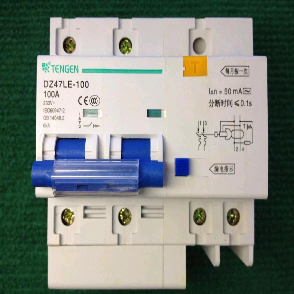 Tianzheng DZ47LE-100 Leakage Circuit Breaker Second Line 100A High Current Leakage Protector 2P 100A