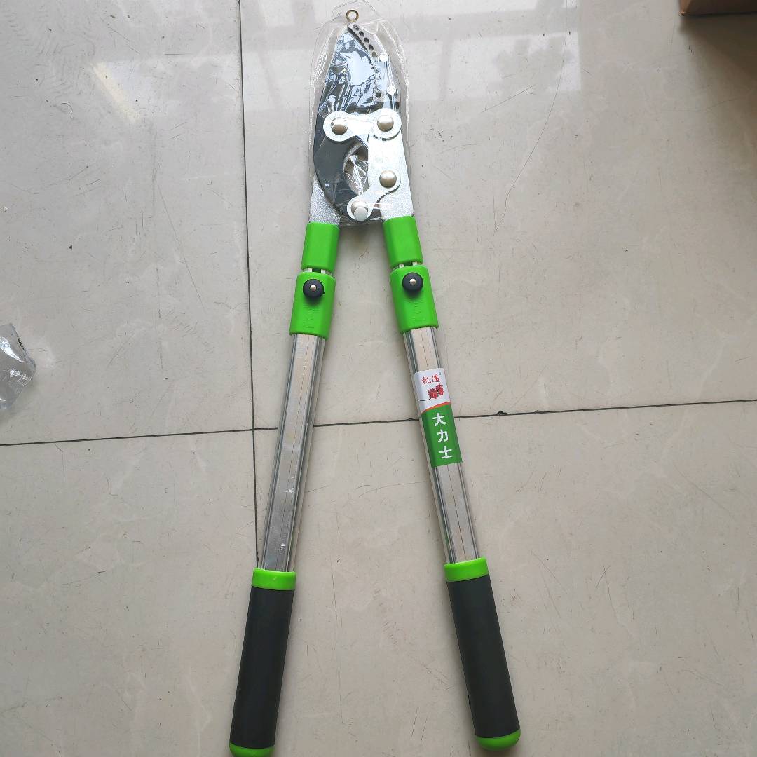 Pruning tree branches, garden fruit trees, scissors, pruning, pruning, pruning, pruning, pruning, pruning, pruning, pruning, pruning, pruning, gardening tools, scissors