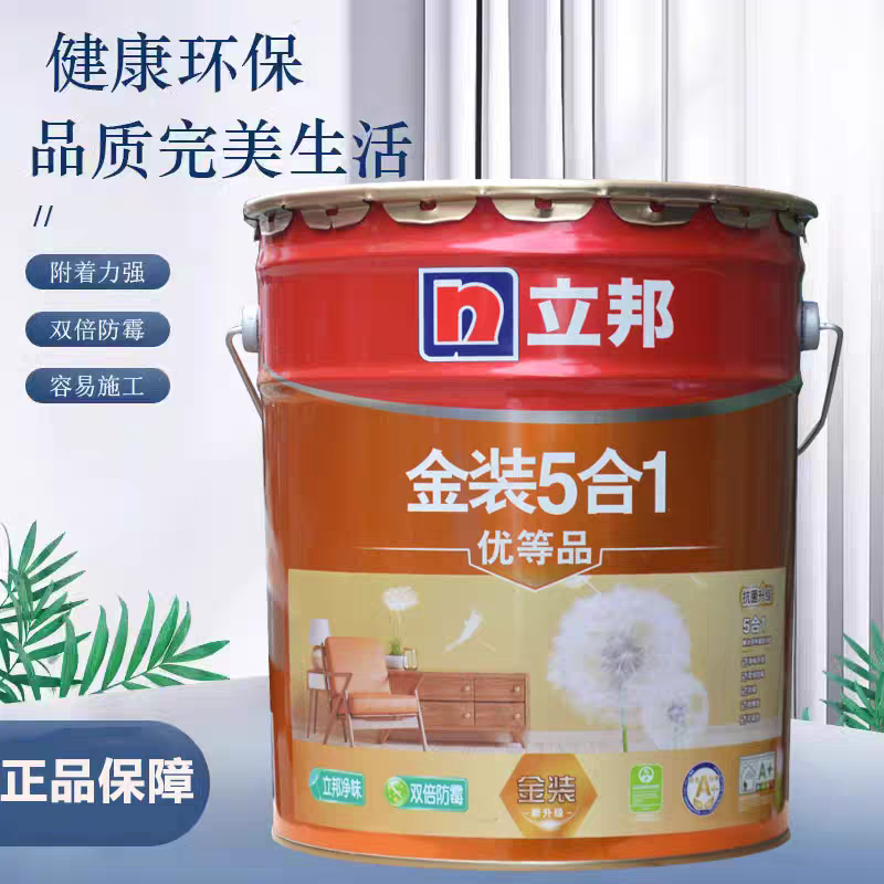 Nippon Paint Five in One Premium Product
