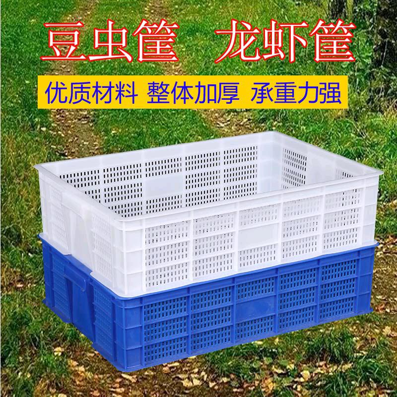Plastic shrimp fry basket with small holes for lobster and chicken fry transportation basket, bullfrog, blueberry, fruit, mushroom, tofu basket turnover box