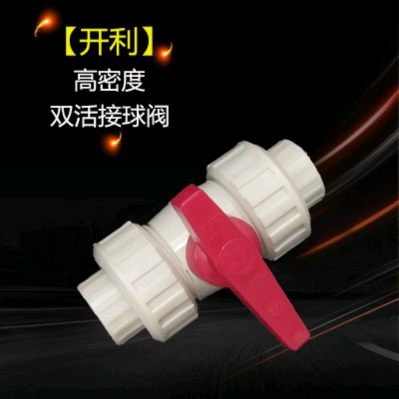 PPR Carrier Valve PPR High Density Double Joint Ball Valve Plastic Core Ball Valve