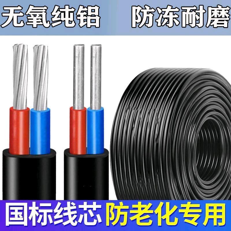 National standard 2-core aluminum core household outdoor cable and wire 4 6 10 16 25 square double core aluminum wire sheathed wire