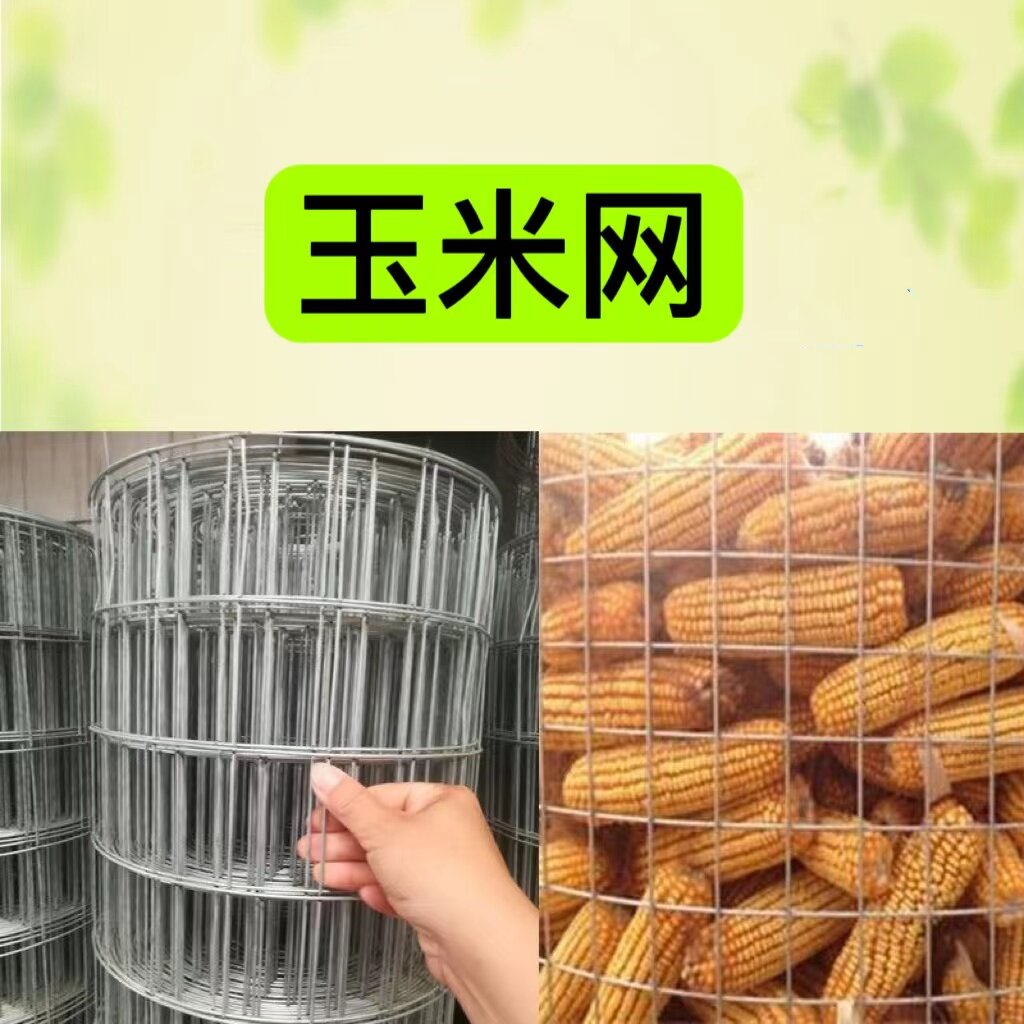 Corn wire fence, protective net, galvanized corn wire mesh, insulation wire mesh, breeding hot-dip galvanized welded wire mesh, plastering galvanized steel wire protective net