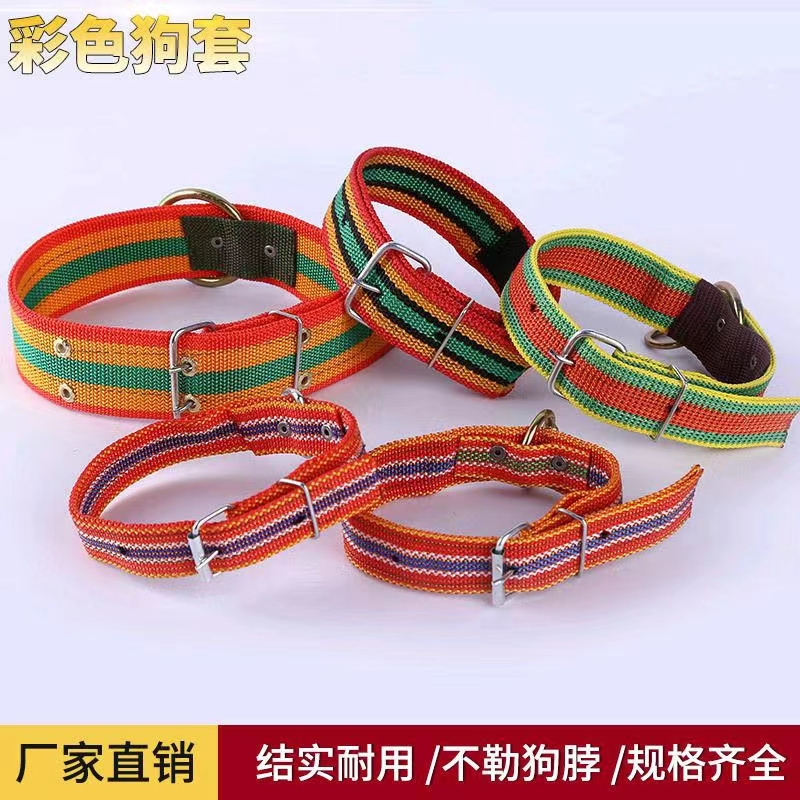 Direct sales outdoor small dog anti slip and durable colorless dog neck cover with adjustable decorative cat and dog collars and dog rings for large dogs