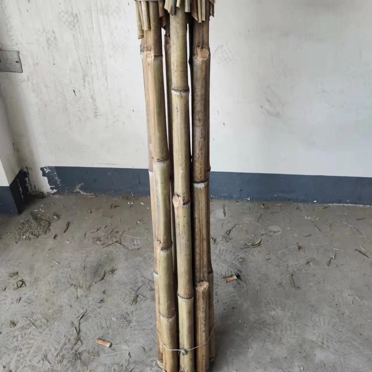 https://wjpf.oss-cn-hangzhou.aliyuncs.com/def/58364202310031143265069.jpg