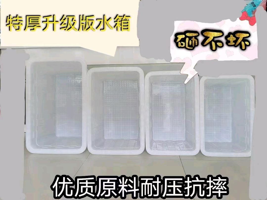 Foam brick bucket, plastic tempered box, white thick square plastic water tank, large logistics turnover box, water storage tank, fish farming and aquaculture box