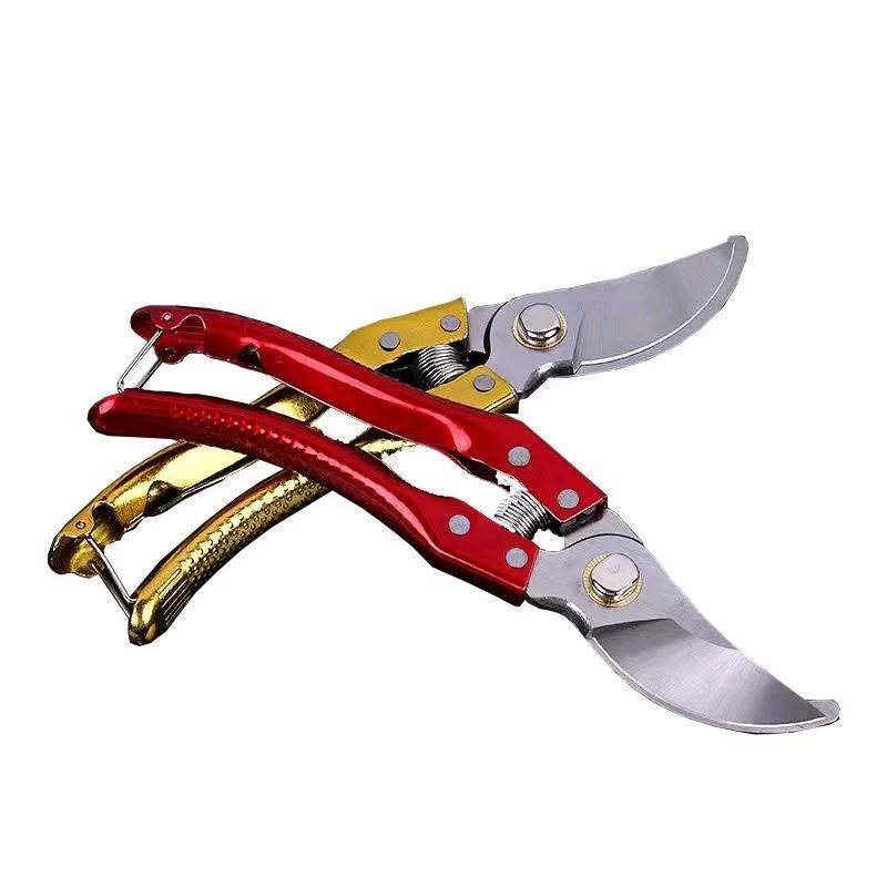 Fruit tree pruning and pruning scissors