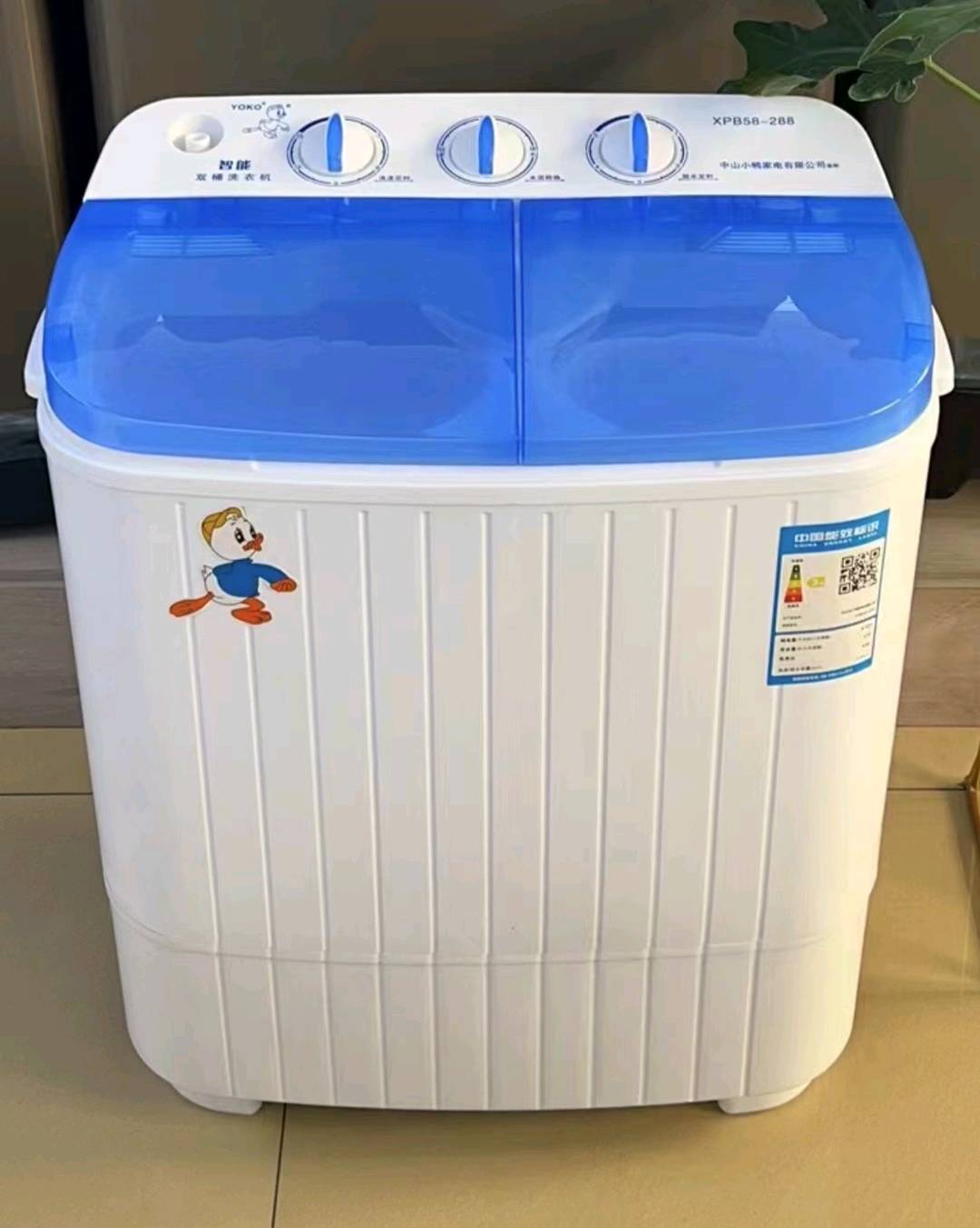 Mini Double Barrel Washing Machine