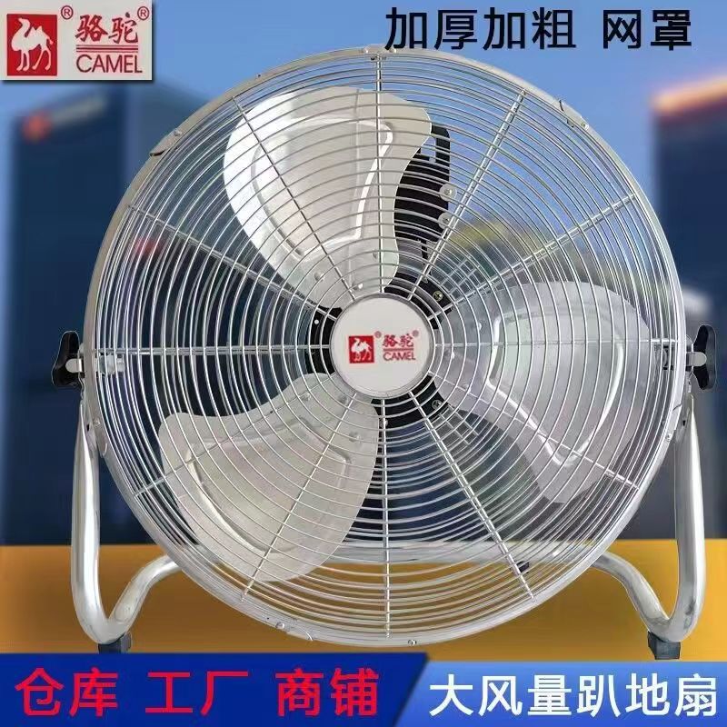 Authentic Camel Floor Fan Industrial Powerful Electric Fan with High Wind Power, Shaking Head, Terrace style High Power Electric Fan