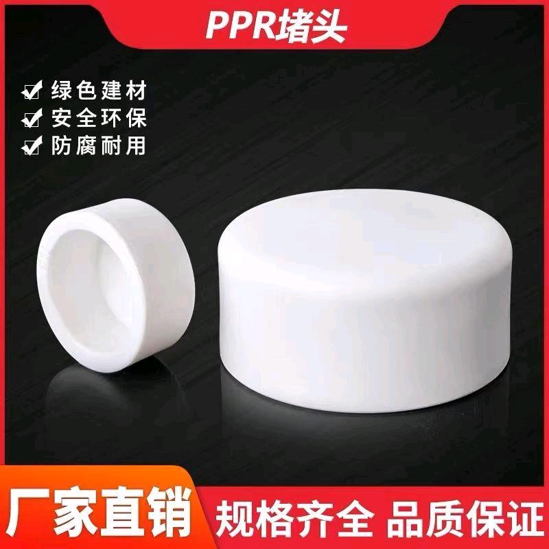 PPR water pipe fittings accessories PPR plugs Hot melt pipe plugs Pipe caps Pipe caps 4 points