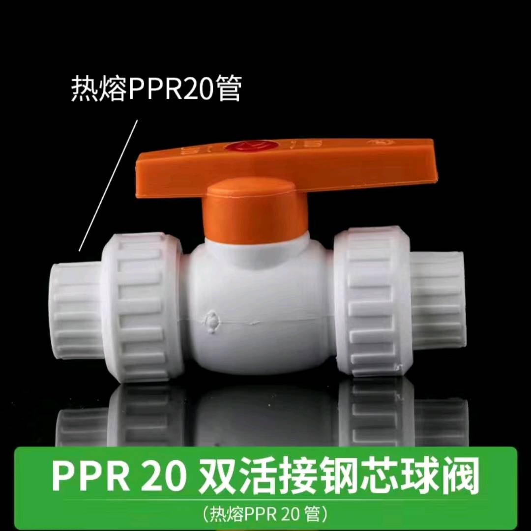 PPR valve hot melt water pipe fittings 4 minutes 6 minutes 1 inch 202532 pipe fittings joint steel core double union gate valve