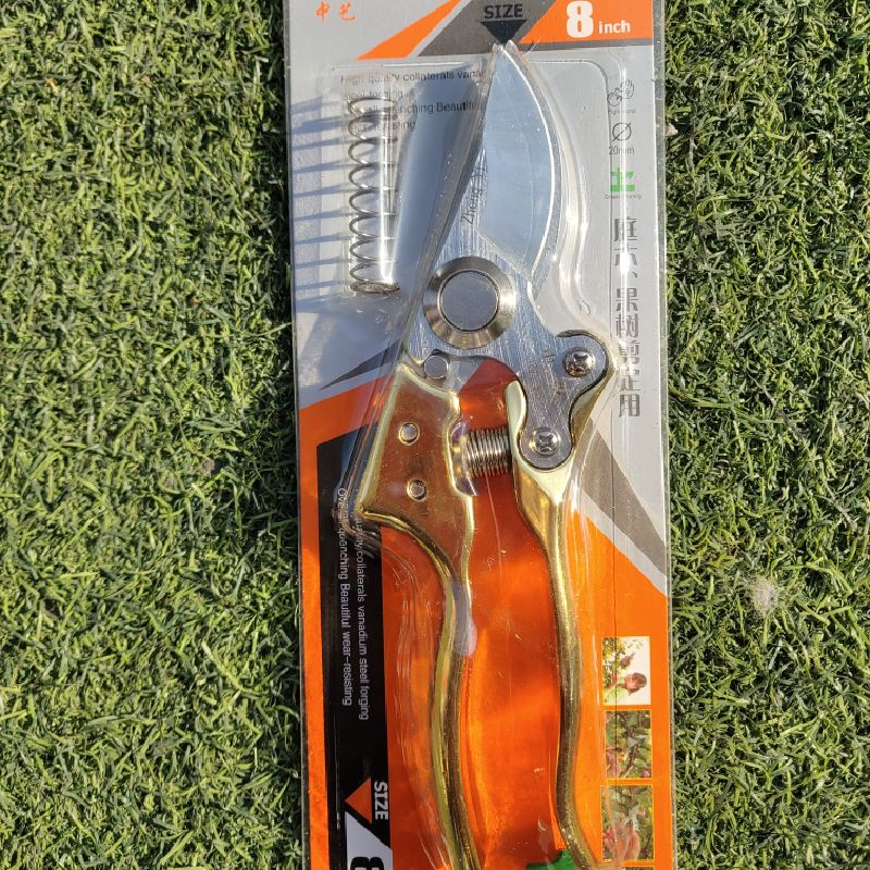 Golden tree pruning garden shears 186-SK5 pruning garden shears pruning pruning pruning fruit pruning grape pruning garden shears floral scissors tools