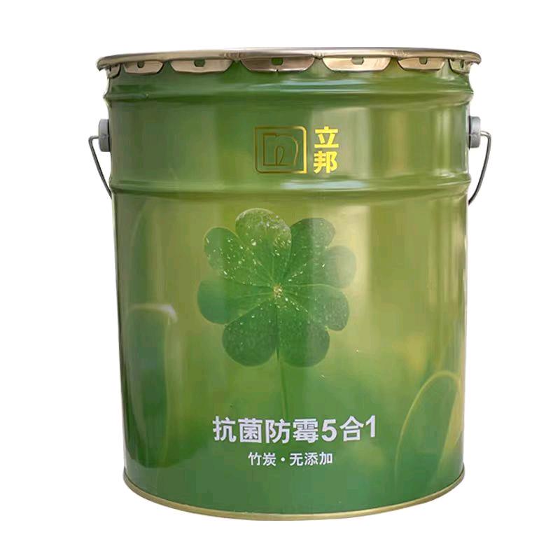 Nippon Paint Antibacterial and Anti Mold 5-in-1 Bamboo Charcoal Non Additive Wall Paint