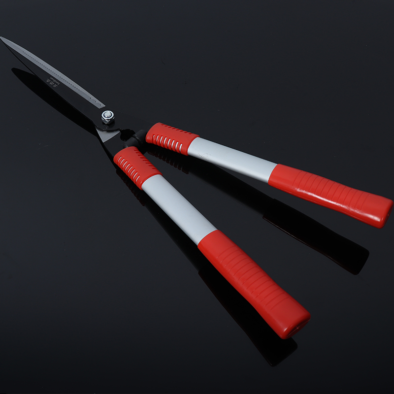 Lawn pruning, pruning, hedge pruning, fence pruning, flat pruning, large scissors, garden pruning, shaping, flower pruning