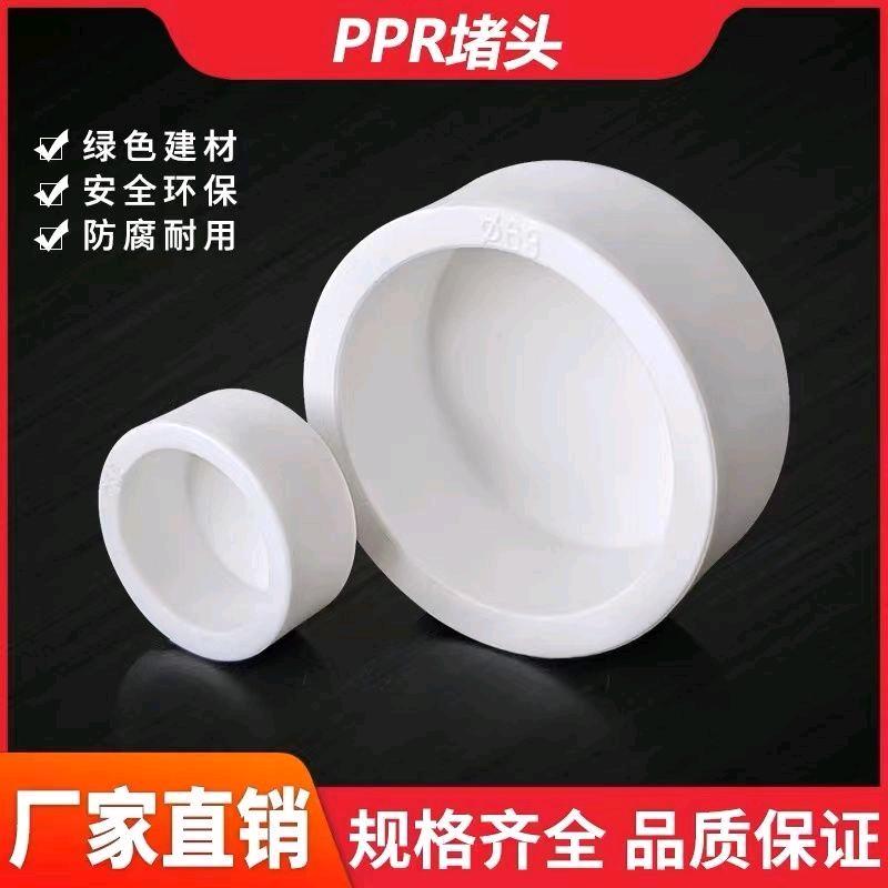 PPR water pipe fittings accessories PPR plugs Hot melt pipe plugs Pipe caps Pipe caps 4 points