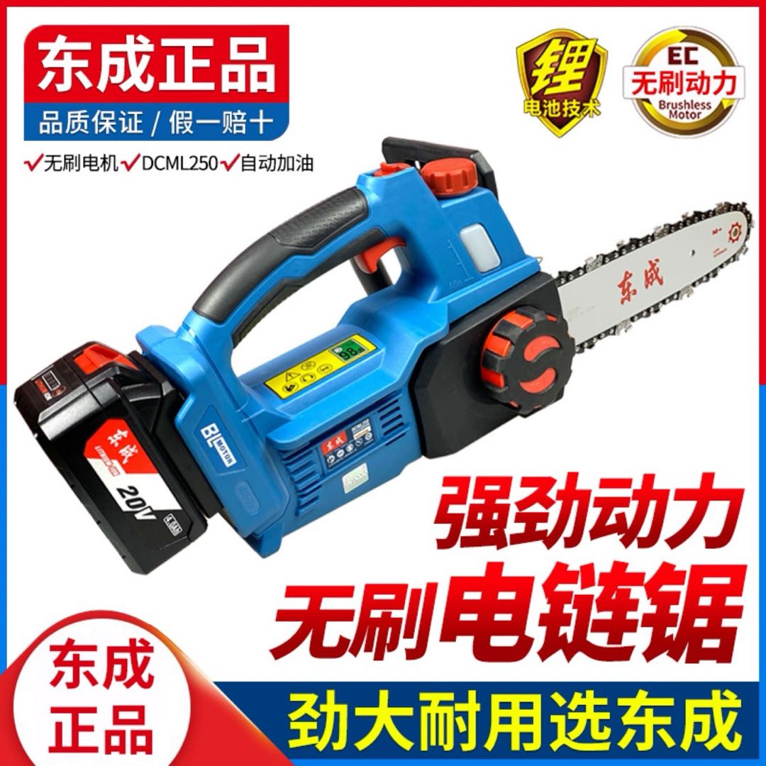 Dongcheng Lithium Battery Chain Saw 250B Ten inch