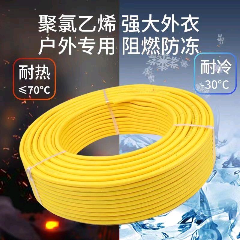 Outdoor national standard wire and cable 2-core 2.5/4/6 square flexible wire sheathed wire household power wire cowhide wire