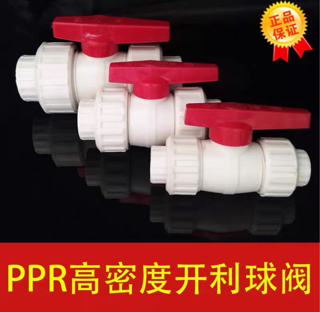 Carrier PPR Double Joint Plastic Valve Double Joint Plastic Ball Valve Joint Ball Valve One inch DN40 DN50