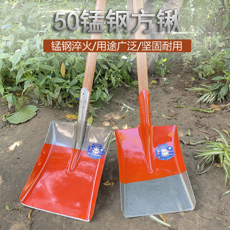 Yanyang Orange Red Formula - Large/Medium