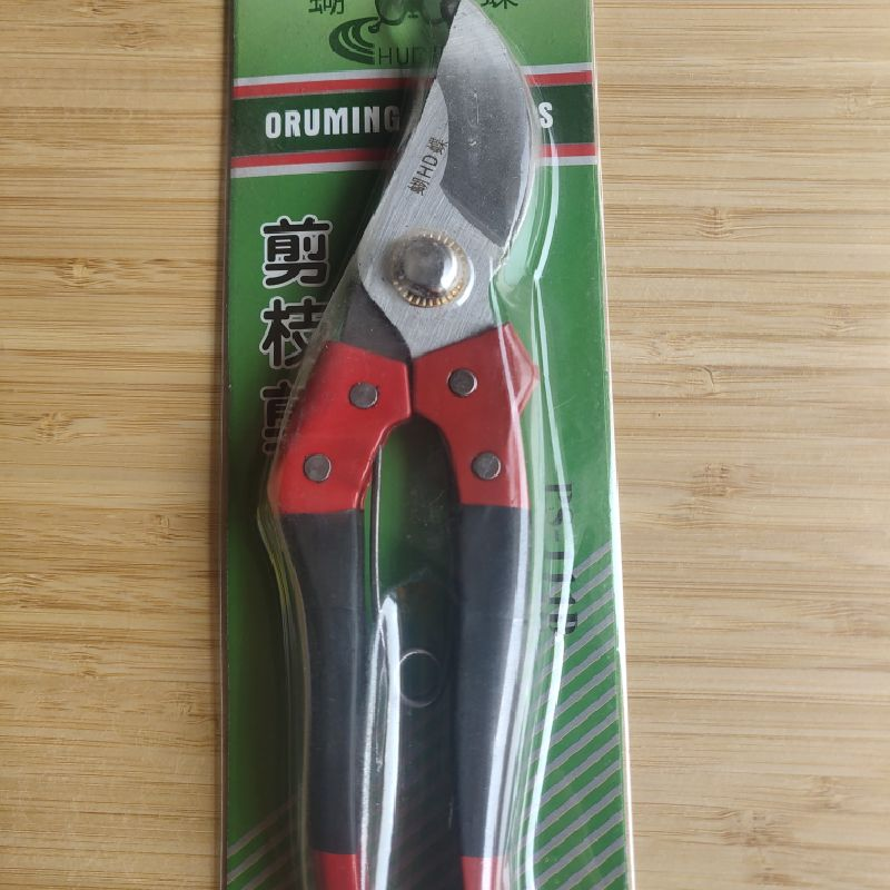 Butterfly fruit tree pruning grape pruning pruning pruning pruning pruning pruning pruning pruning pruning pruning pruning pruning pruning pruning pruning pruning pruning pruning pruning pruning pruning pruning pruning pruning pruning pruning pruning pruning pruning pruning pruning pruning pruning pruning pruning pruning pruning pruning pruning pruning pruning pruning pruning pruning pruning pruning pruning pruning pruning pruning pruning pruning pruning pruning pruning pruning pruning pruning pruning pruning pruning pruning pruning pruning pruning pruning pruning pruning pruning pruning pruning